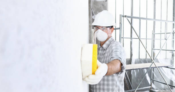 Trusted Bowling Green, MO Mold Removal & Remediation Experts